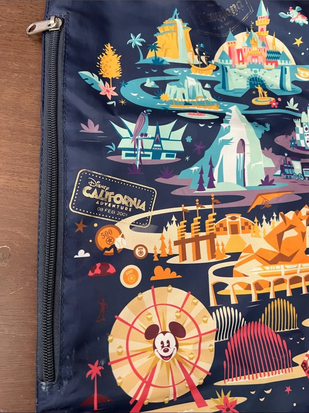 Disney Parks Discover the Magic Disneyland Resort Map Drawstring Backpack Bag